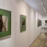 9.1.2017 Kielce. Wystawy doroczne – ZPAP ZPAR ZPAF PSEP Kapitał sztuki / suplement 2016 / Wojciech Habdas / Radio Kielce