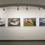 9.1.2017 Kielce. Wystawy doroczne – ZPAP ZPAR ZPAF PSEP Kapitał sztuki / suplement 2016 / Wojciech Habdas / Radio Kielce