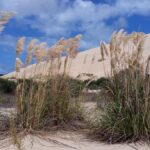 Nowa Zelandia / Prof. Danuta Rasała / Radio Kielce