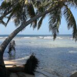 Panama / Jędrzej Maćkowski / Radio Kielce