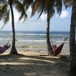 Panama / Jędrzej Maćkowski / Radio Kielce