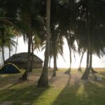 Panama / Jędrzej Maćkowski / Radio Kielce