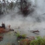 Nowa Zelandia / Prof. Danuta Rasała / Radio Kielce