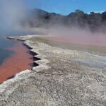 Nowa Zelandia / Prof. Danuta Rasała / Radio Kielce