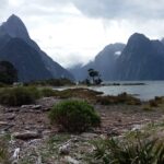 Nowa Zelandia / Prof. Danuta Rasała / Radio Kielce