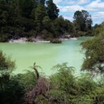 Nowa Zelandia / Prof. Danuta Rasała / Radio Kielce