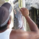 Panama / Jędrzej Maćkowski / Radio Kielce