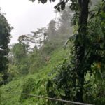 Kostaryka / Jędrzej Maćkowski / Radio Kielce