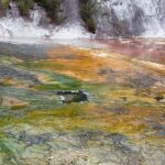 Nowa Zelandia / Prof. Danuta Rasała / Radio Kielce