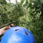 Kostaryka / Jędrzej Maćkowski / Radio Kielce