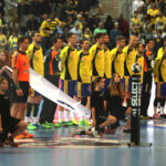 Vive Tauron vs Rhein-Neckar Loewen (9 lutego 2017 r) / Krzysztof Bujnowicz / Radio Kielce