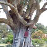 Nowa Zelandia / Prof. Danuta Rasała / Radio Kielce