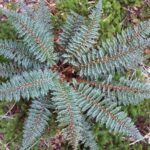 Nowa Zelandia / Prof. Danuta Rasała / Radio Kielce