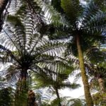 Nowa Zelandia / Prof. Danuta Rasała / Radio Kielce