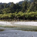 Nowa Zelandia / Prof. Danuta Rasała / Radio Kielce