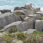 Nowa Zelandia / Prof. Danuta Rasała / Radio Kielce