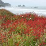 Nowa Zelandia / Prof. Danuta Rasała / Radio Kielce