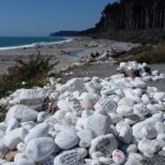 Nowa Zelandia / Prof. Danuta Rasała / Radio Kielce