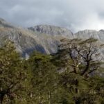 Nowa Zelandia / Prof. Danuta Rasała / Radio Kielce