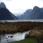 Nowa Zelandia / Prof. Danuta Rasała / Radio Kielce