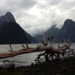 Nowa Zelandia / Prof. Danuta Rasała / Radio Kielce