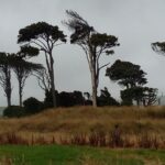 Nowa Zelandia / Prof. Danuta Rasała / Radio Kielce