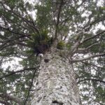 Nowa Zelandia / Prof. Danuta Rasała / Radio Kielce