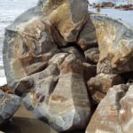 Nowa Zelandia / Prof. Danuta Rasała / Radio Kielce