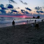 Salwador / Jędrzej Maćkowski / Radio Kielce