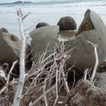 Nowa Zelandia / Prof. Danuta Rasała / Radio Kielce