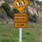 Nowa Zelandia / Prof. Danuta Rasała / Radio Kielce