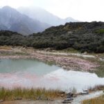 Nowa Zelandia / Prof. Danuta Rasała / Radio Kielce