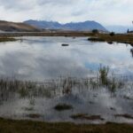 Nowa Zelandia / Prof. Danuta Rasała / Radio Kielce