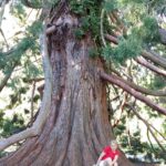 Nowa Zelandia / Prof. Danuta Rasała / Radio Kielce