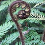 Nowa Zelandia / Prof. Danuta Rasała / Radio Kielce