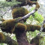 Nowa Zelandia / Prof. Danuta Rasała / Radio Kielce