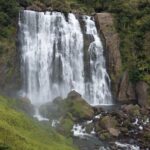 Nowa Zelandia / Prof. Danuta Rasała / Radio Kielce