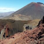 Nowa Zelandia / Prof. Danuta Rasała / Radio Kielce