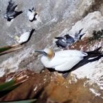 Nowa Zelandia / Prof. Danuta Rasała / Radio Kielce