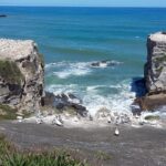 Nowa Zelandia / Radio Kielce