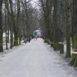 Kielce. Bieg Pamięci Żołnierzy Wyklętych „Tropem Wilczym” / Robert Felczak / Radio Kielce