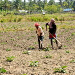 Andamany / Nikobary / Mirosław Kopik / Radio Kielce