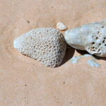 Andamany / Nikobary / Mirosław Kopik / Radio Kielce