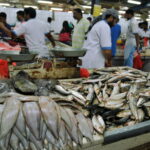 Zjednoczone Emiraty Arabskie / Mirosław Kopik / Radio Kielce