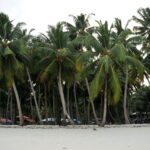 Andamany / Nikobary / Mirosław Kopik / Radio Kielce