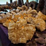 Kielce. Giełda Minerałów Skamieniałości i Wyrobów Jubilerskich (2017-02-26) / Wiktor Dziarmaga / Radio Kielce