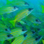 Andamany / Nikobary / Mirosław Kopik / Radio Kielce