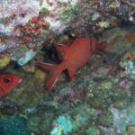 Andamany / Nikobary / Mirosław Kopik / Radio Kielce