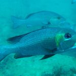 Andamany / Nikobary / Mirosław Kopik / Radio Kielce