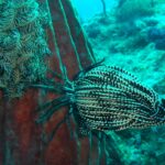 Andamany / Nikobary / Mirosław Kopik / Radio Kielce